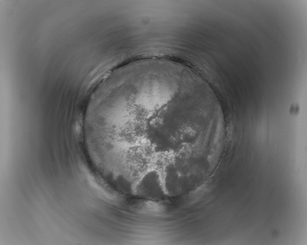 X0000113110166200909111123