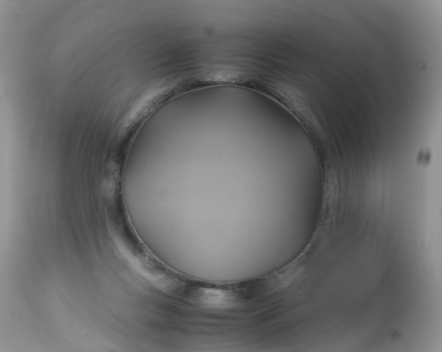 X0000113110167200909111123