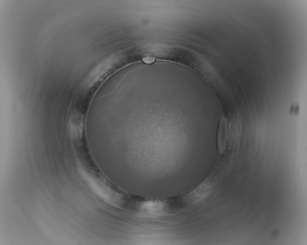 X0000113110168200909111123