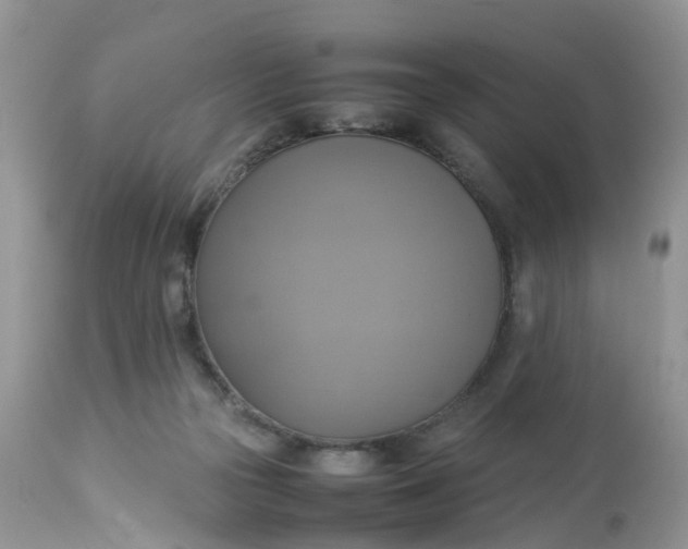 X0000113110169200909111123