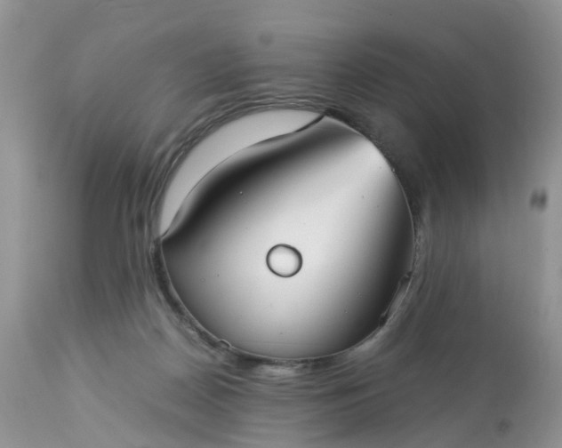 X0000113110170200909111123