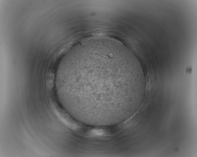 X0000113110171200909111123