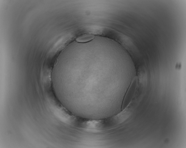 X0000113110172200909111123