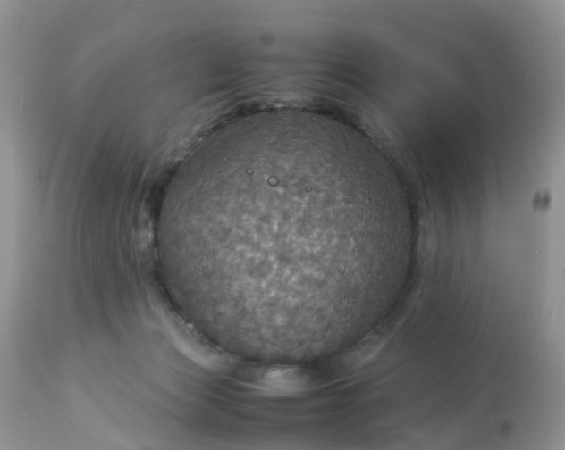 X0000113110173200909111123