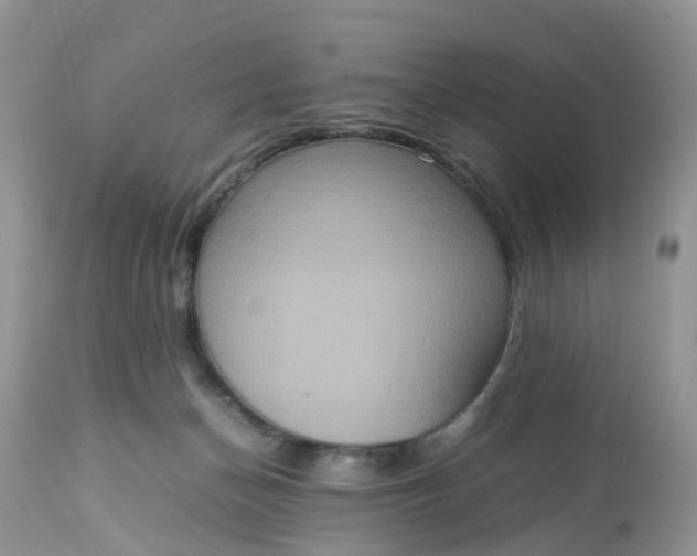 X0000113110174200909111123