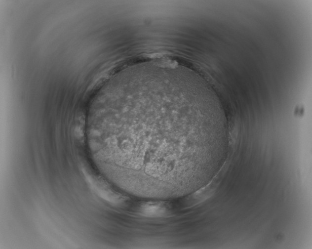 X0000113110175200909111123