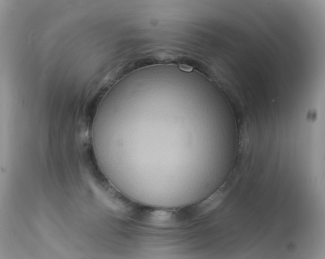 X0000113110176200909111123