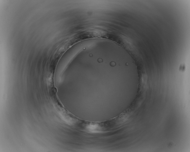 X0000113110177200909111123