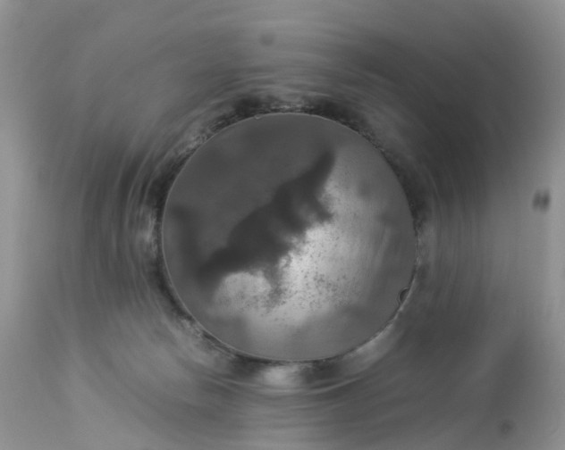 X0000113110178200909111123