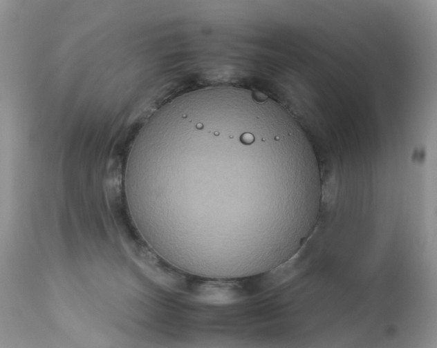 X0000113110179200909111123