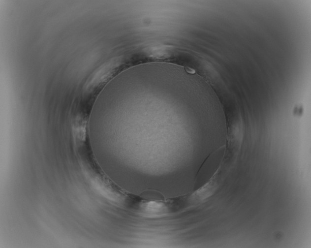 X0000113110180200909111123