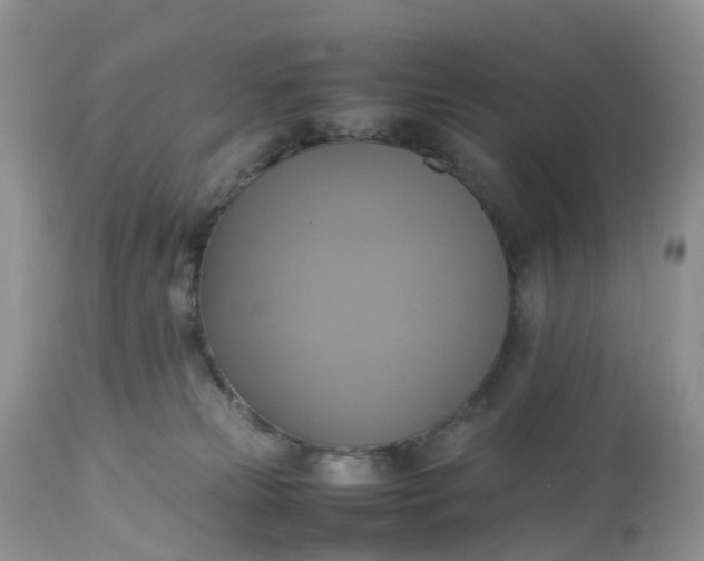 X0000113110181200909111123