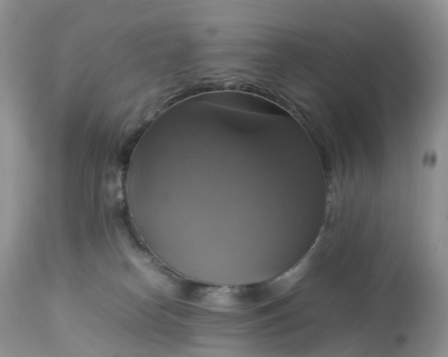 X0000113110182200909111123