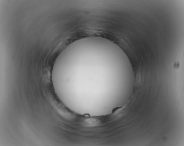 X0000113110183200909111123