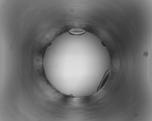 X0000113110184200909111123