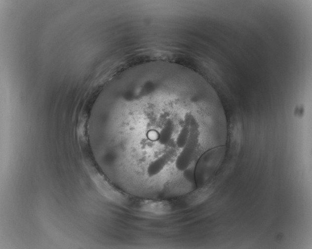 X0000113110185200909111123