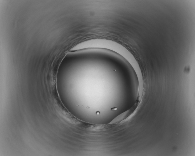 X0000113110186200909111123