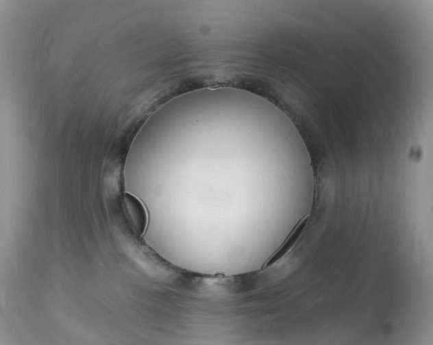 X0000113110188200909111124