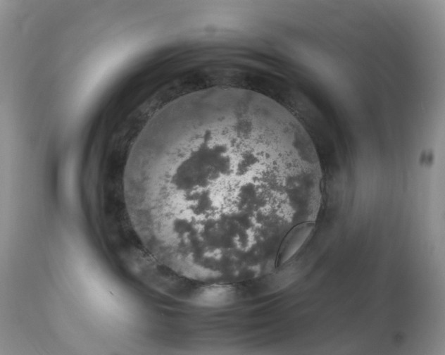 X0000113110189200909111124
