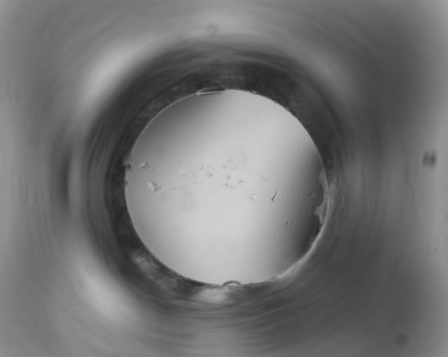 X0000113110190200909111124