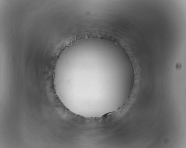 X0000113110192200909111124