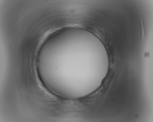 X0000113110193200909111123