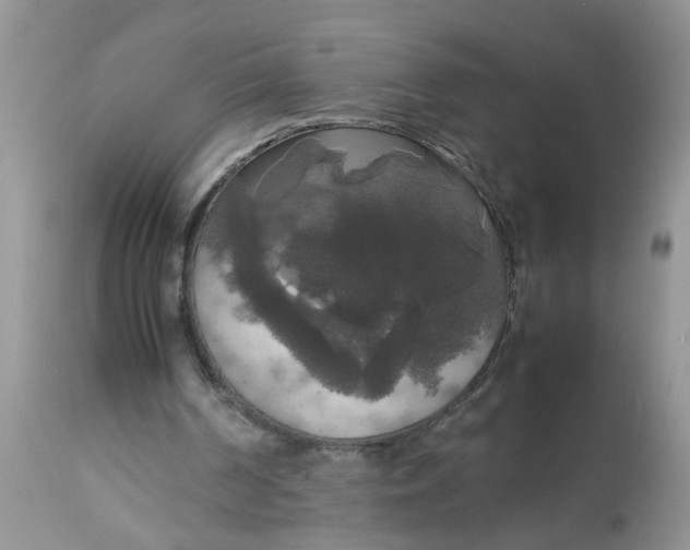 X0000113110194200909111123