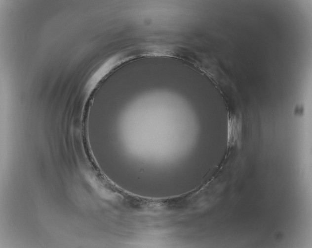 X0000113110195200909111123