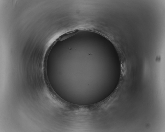 X0000113110196200909111123