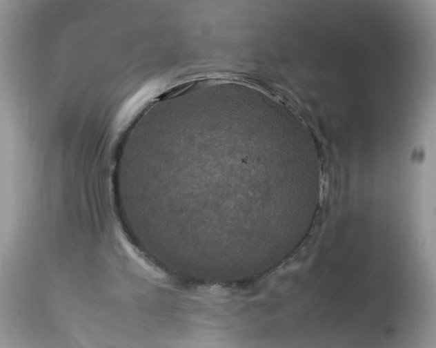 X0000113110197200909111123
