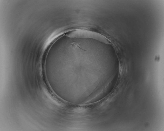 X0000113110198200909111123