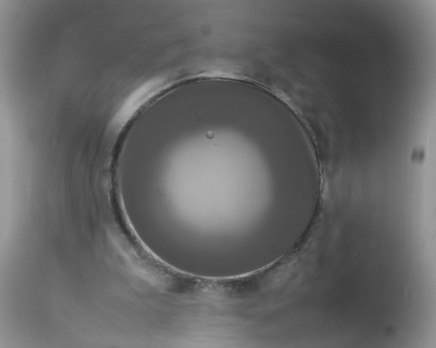 X0000113110199200909111123