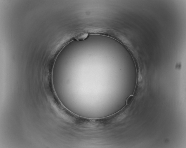 X0000113110201200909111123