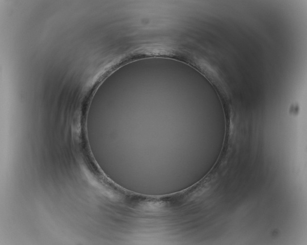 X0000113110202200909111123