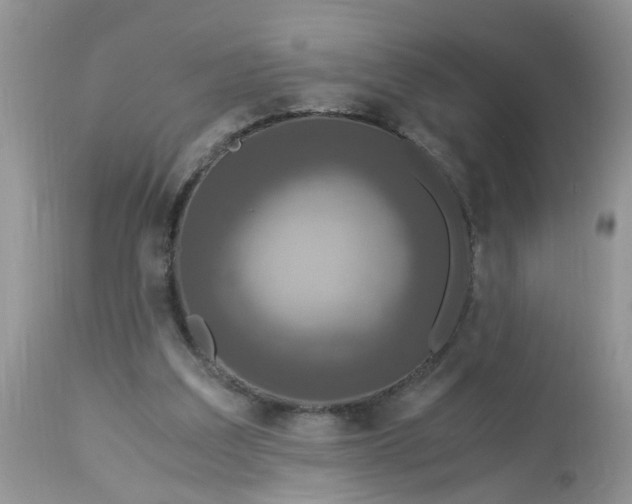 X0000113110203200909111123