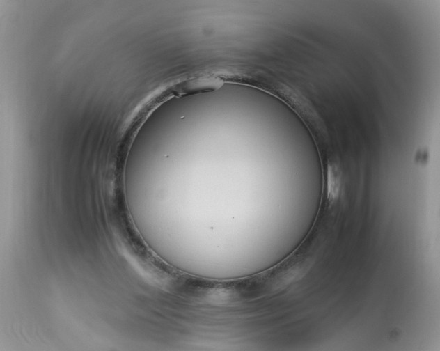 X0000113110204200909111123