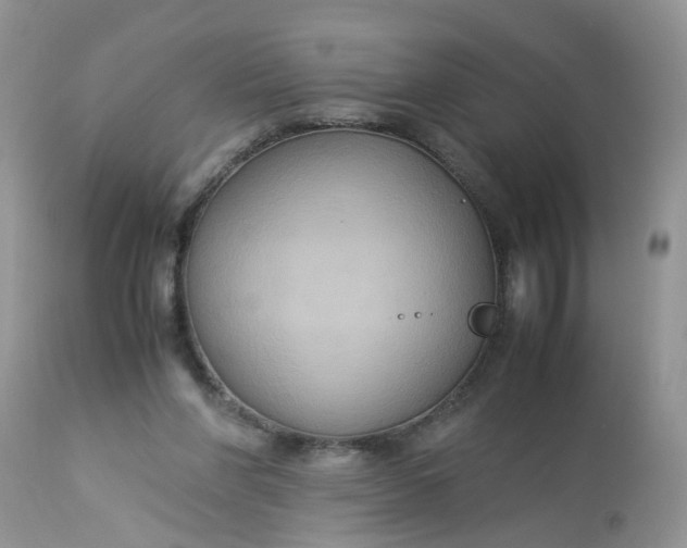 X0000113110206200909111123