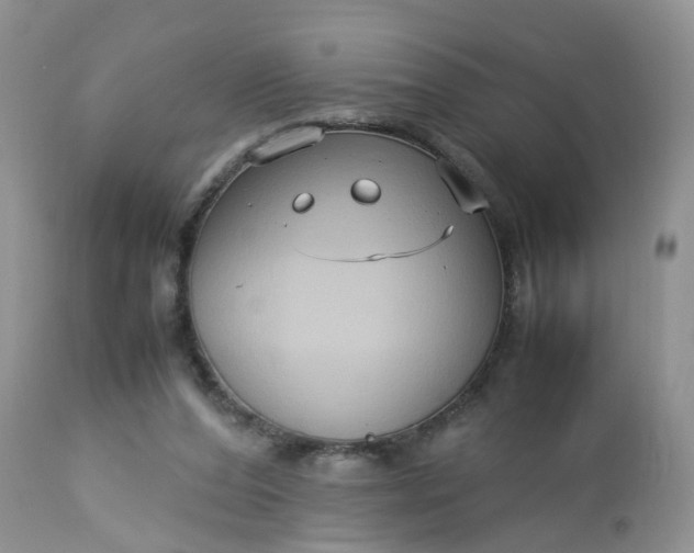 X0000113110208200909111123