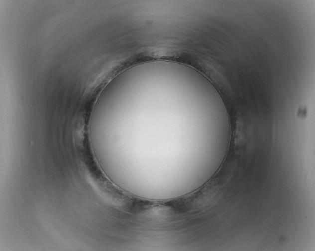 X0000113110210200909111123