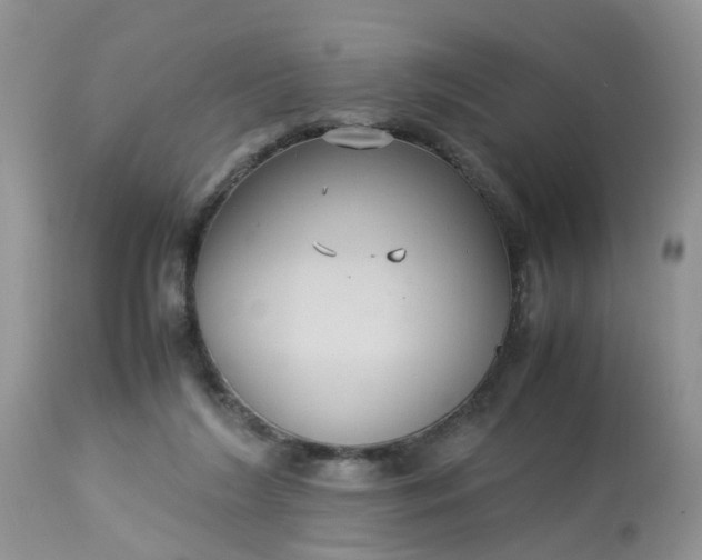 X0000113110212200909111123