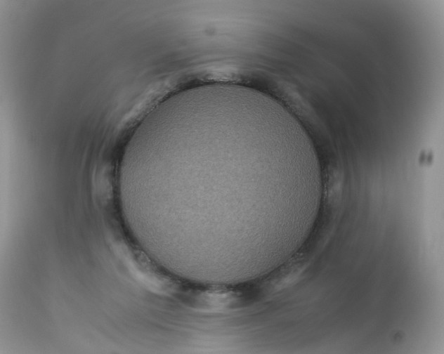 X0000113110213200909111123