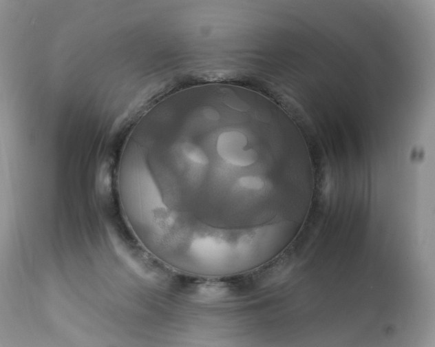 X0000113110214200909111123