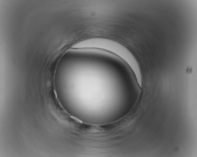 X0000113110215200909111123