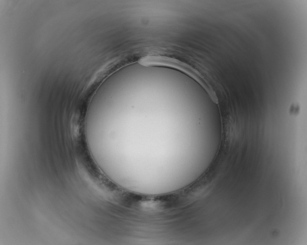 X0000113110216200909111123