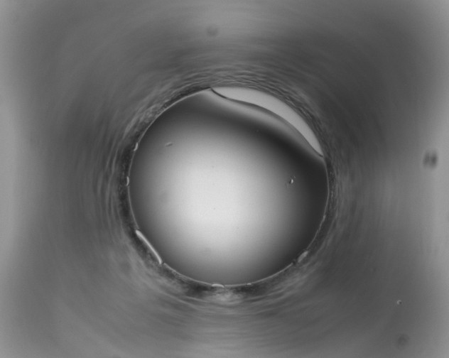 X0000113110217200909111123