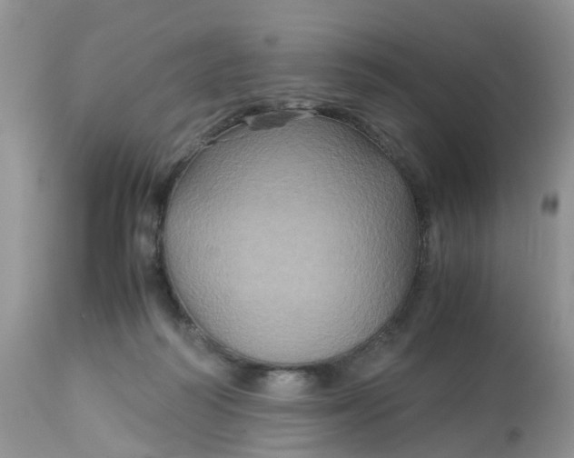 X0000113110218200909111123