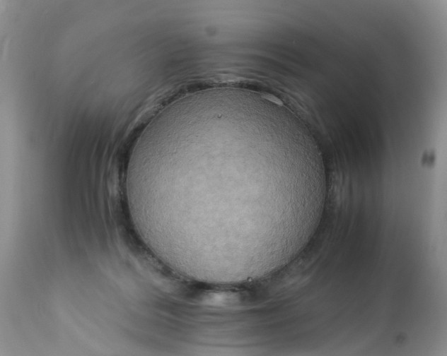 X0000113110220200909111123
