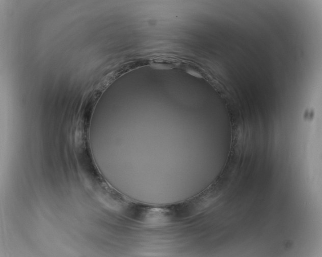 X0000113110222200909111123