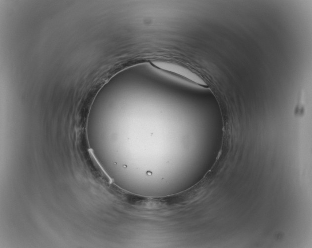 X0000113110223200909111123