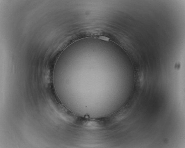 X0000113110224200909111122